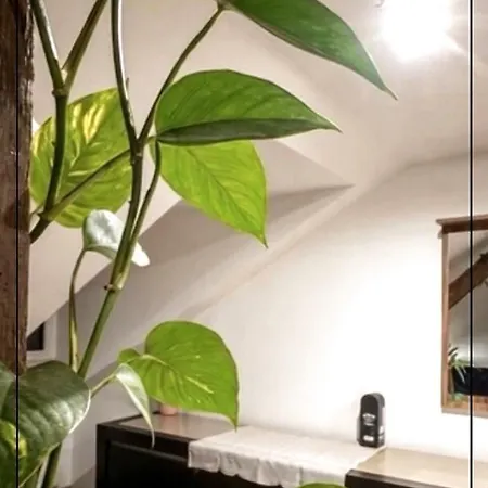 Exceptional Loft Near Center Lägenhet